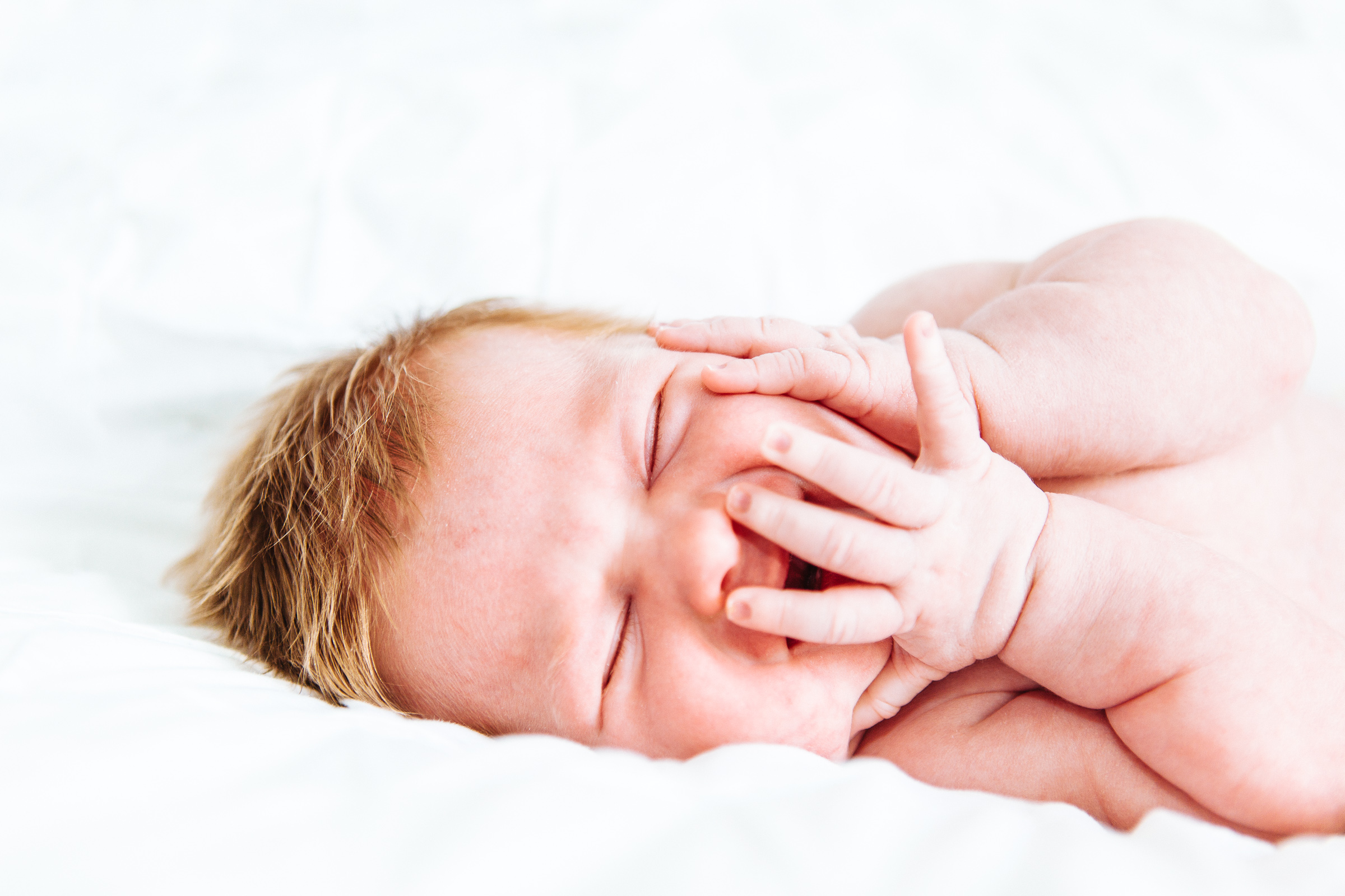 Newborn posed portrait East End Lens
