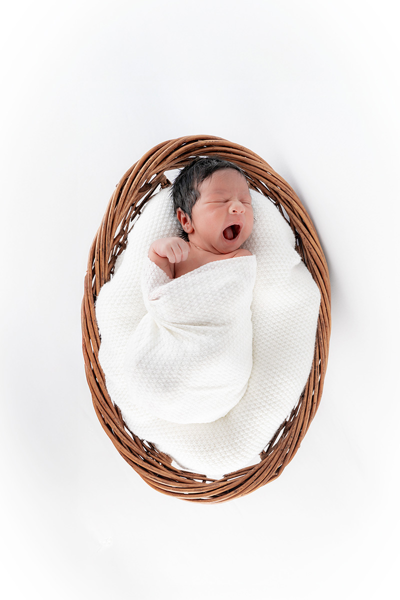 Newborn in basket photos Pittsburgh